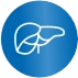 Icon für Leber und Lebergefäße